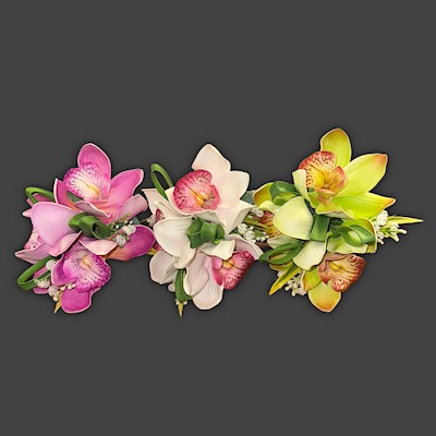 3-Cymbidium Orchid Clip                                                    